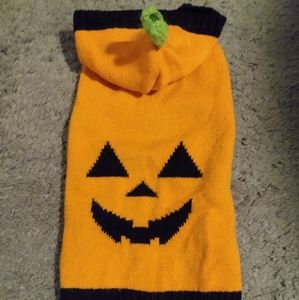 Halloween Dog Costume